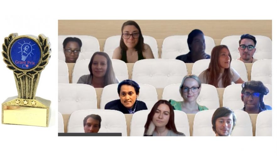 Early career researcher - Grant ideas workshop screenshot