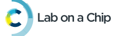 Lab on a Chip logo