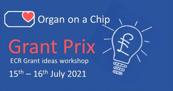 grant ideas workshop