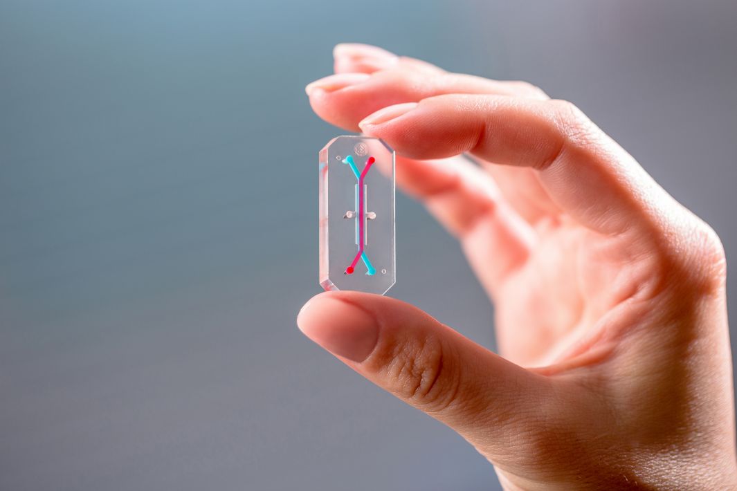 Organ-on-a-Chip device