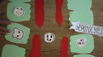 A still from 'A cookie's journey to the brain'.  Watch the full video below.