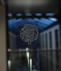 3D printed retinal vasculature